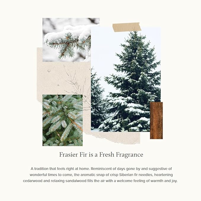Thymes Pura Refills – 2 Pack of Oil Diffuser Scents – Long-Lasting Pura Diffuser Refills – Premium Home Fragrance – Notes Siberian Fir Needles, Cedarwood & Sandalwood (Frasier Fir, Pack of 2)