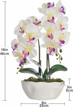 Large Artificial Potted Orchid Plant, Silk Flower Arrangement with Ceramics Vase, White
