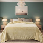 Fleece Blankets for All Season - Premium Lightweight Anti-Static Throw for King Size Bed Extra Soft Brush Fabric Warm Sofa Thermal Blanket 90" x 108"(Khaki)