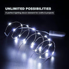 CYLAPEX Pack of 24 Cool White Fairy Lights String Battery Operated Fairy Lights, 3.3ft 20 LEDs Firefly Lights Silver Coated Copper Wire Lights for DIY Decor Christmas Decoration Costume