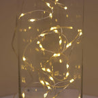 QBIS Warm White Fairy Lights Battery Operated With Timer Mode, 40 Micro LED for Mason Jars, 6.5ft Silver Wire Indoor Use