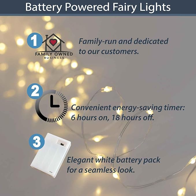 QBIS Warm White Fairy Lights Battery Operated with Timer Mode, 40 Micro LEDs for Mason Jars, 6.5ft, Silver Wire Lights Indoor Use (Warm White) - 2 Pack