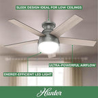 Hunter 46 inch Indoor Ceiling Fan with LED Light - Ceiling Fan with Pull Chain, For Bedroom, Living Room, or Kitchen, Low Profile Mount, No Remote, 5 Blades - Anslee 59270, Matte Silver