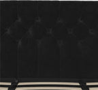 Novogratz The Her Majesty Upholstered Bed, King, Black Velvet