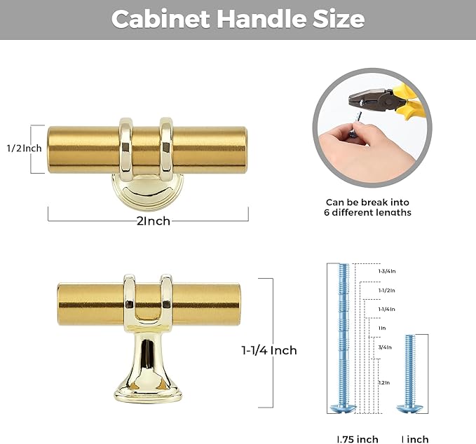 10 Pack Brushed Brass Cabinet Knobs - Gold Kitchen Cabinet Knobs Closet Pulls for Kitchen Drawer Stainless Steel Dresser Hardware 2in Length Single Hole