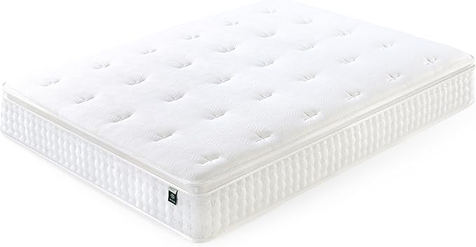 ZINUS 13 Inch Euro Top Pocket Spring Hybrid Mattress, Queen, Pressure Relief, Pocket Innersprings for Motion Isolation, Mattress in A Box