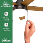 Hunter 59268 Anslee Indoor Low Profile Ceiling Fan with LED Light and Pull Chain Control, 46", Brown