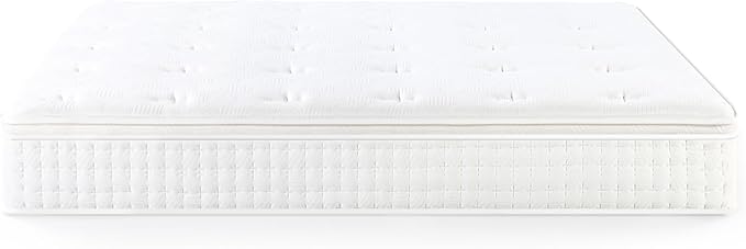 ZINUS 13 Inch Euro Top Pocket Spring Hybrid Mattress, Queen, Pressure Relief, Pocket Innersprings for Motion Isolation, Mattress in A Box