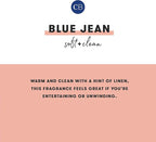 Capri Blue Reed Diffuser - Comes with Blue Jean Scented Diffuser Oil, Diffuser Sticks, and Mercury Iridescent Glass Bottle - Aromatherapy Diffuser (5.7 fl oz)