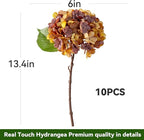 10PCS Fake Hydrangea Artificial Flowers Hydrangea Bouquet for Home Wedding Bridal Bouquet Office Party Table Centerpiece DIY Floral Decor (Autumn Orange)