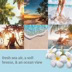 Yankee Candle ScentPlug Refill, Beach Escape (Pack of 4)