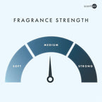 ScentAir Whisper Home Monthly Plug-in Refill, Fragrance Cartridge for Home and Office, Tranquil Waters