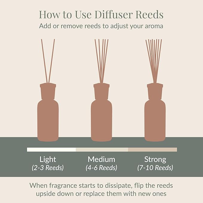 Archipelago Botanicals Birch Reed Home Fragrance Reed Diffuser, Includes Fragrance Oil, Decorative Wooden Cap & 10 Diffuser Reeds, Perfect for Home, Office or Gift, 7.85 fl oz