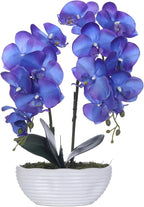 Large Artificial Potted Orchid Plant, Silk Flower Arrangement with Ceramics Vase, Purple Blue