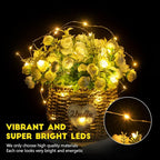 Brightown 24 Pack Fairy Lights Battery Operated - 7Ft 20 Led Mini String Lights Silver Wire Waterproof Firefly Starry DIY Lights for Bedroom Patio Wedding Party Christmas Decor (Warm White)