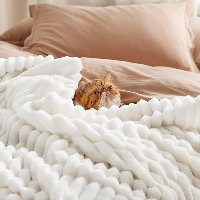 Bedsure GentleSoft Blankets Queen Size for Bed - Cozy Soft Sofa Couch Cover Blankets for Women, Cute Large Bedding Fleece Throws for Girls, Off White, 90x90 Inches