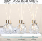 4Pcs Reed Diffuser Set with Metal Golden Decoration, Empty Reed Diffuser Bottles with 20Pcs Reed Diffuser Sticks, Unique Design Bottles for Home and Office(2 Spiky Ellipsoidal+2Twill)
