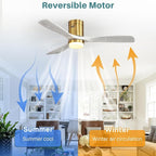 Sofucor 52 Inch Smart Ceiling Fans with Lights-Flush Mount Low Profile Modern Outdoor Solid Wood Ceiling Fans with Alexa/Google Assistant/APP/Remote Control for Bedroom/Farmhouse/Patio, Grey Gold