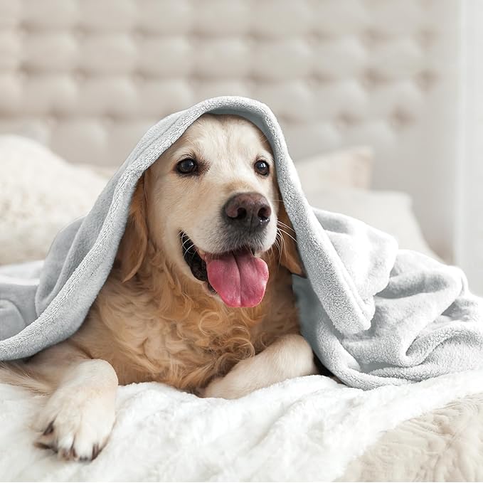 BEDELITE Fleece Blanket Dove Grey Throw Blankets for Couch & Bed, Luxury Plush Cozy Fuzzy Blanket 50x60 inches, Super Soft Warm Lightweight Throw Blanket for Travel Camping