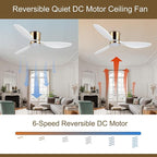 reiga 52 Inch Flush Mount White Ceiling Fan with Light Remote Control, Quiet DC Motor Low Profile 3 Wood Blade Modern Ceiling Fans for Patio Kitchen Living Room Bedroom