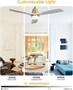 Sofucor 52 Inch Smart Ceiling Fans with Lights and Alexa/Google Assistant/APP/Remote Control-Modern Solid Wood Outdoor 3 Blades Ceiling Fan for Bedroom Living Room Indoor Farmhouse Patio, Grey Gold