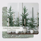 CG Hunter Holiday Collection, Set-of-2 Faux Cedar Trees, Premium Artificial Indoor & Outdoor Cedar Tree Stands 24" Tall in Creme Pot–Perfect Christmas Decoration