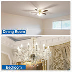 SHINESTAR E12 LED Candelabra Light Bulbs 40 Watt Equivalent, 5000K Daylight White 550 Lumen Chandelier Bulb, 6W B11 Candle Small Base Ceiling Fan Light Bulbs, Non-Dimmable, Pack of 3