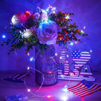 Christmas Fairy Lights Decorations, 4-Pack Red White and Blue Battery Operated Lights with Timer, Waterproof 16FT 50 LED String Light Indoor Outdoor for Xmas Tree Party Home Memorial Day DIY Decor