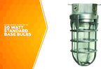 Woods L1706BS Vandal Resistant 150W Incandescent Security Light; Ceiling Mount; Compatible With Up To 50 Watt Standard Base Bulbs; Brushed Steel