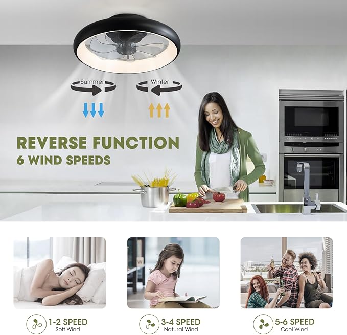 Modern Black 20" Flush Mount Ceiling Fan with Lights, 6 Wind Speeds, LED, Bedroom, Kitchen
