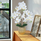 Ziwon Artificial Orchid Flowers & Plants Potted in Ceramic Pot, White Faux Phalaenopsis Orchids for Table Centerpiece, Realistic Fake Flower Arrangement for Home Office Decor Indoor