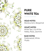 Pure White Tea - Lampe Berger Fragrance Refill for Home Fragrance Oil Diffuser - 16.9 Fluid Ounces - 500 milliliters