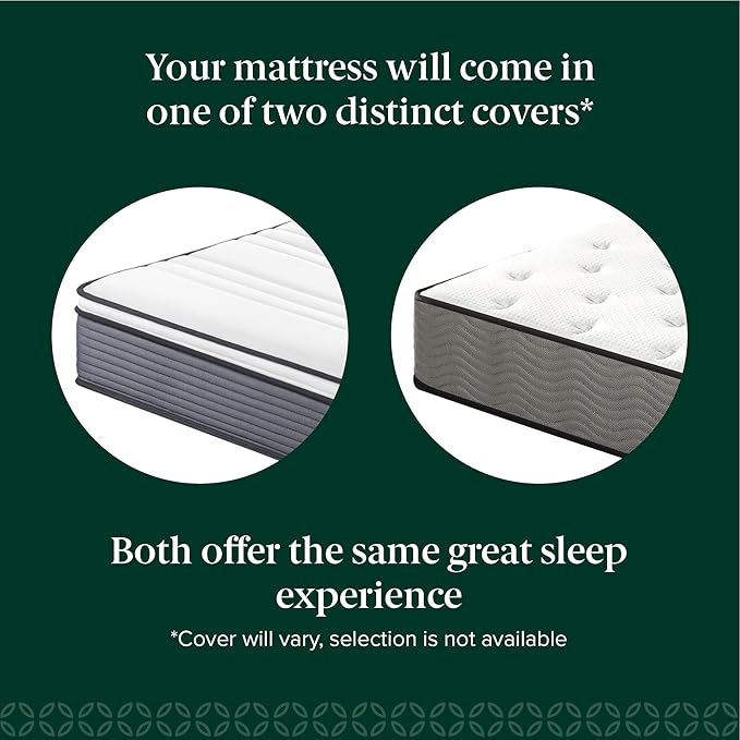 ZINUS 10 Inch True Support Hybrid Mattress [New Version], Full, Fiberglass free, Medium Feel, Motion Isolation, Certified Safe Foams & Fabric, Mattress in A Box