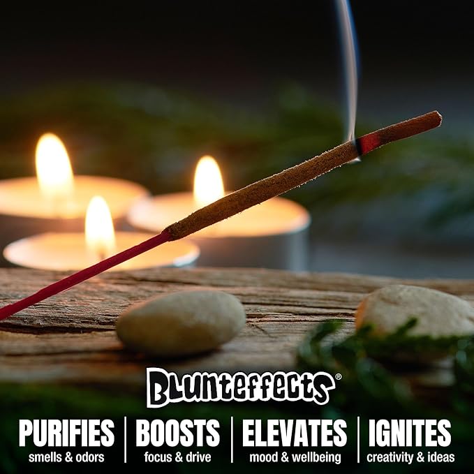 Blunteffects Hand-Dipped Incense Sticks - Premium 144-Pack Variety Set, 12 Different Scents, 11" Long, USA-Made Aromatherapy with Long Burn Time (12 Pack, 144 Total Sticks)