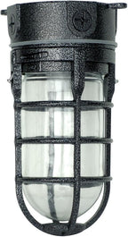 Woods L1706BLK Vandal Resistant 150W Incandescent Security Light, Ceiling Mount, Hammered Black