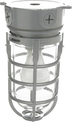 Woods L1706 Vandal Resistant Security Light With Ceiling Mount (150W Incandescent Bulb; Silver)