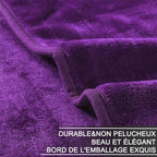 HOZY Soft Blanket Twin Size Fleece Warm Fuzzy Throw Blankets for The Bed Sofa Lightweight 350GSM Purple 66"*90"