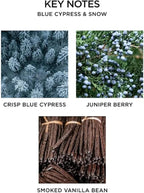 NEST New York Reed Diffuser, Blue Cypress & Snow - 5.9 fl oz - Fragrance for Up to 90 Days - Reusable, Refillable Glass Holder - Includes 8 All-Natural Reed Sticks - Flame Free