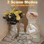30 Pack Fairy Lights Battery Operated - 3 Speed Modes, 7Ft 20 LED String Twinkle Lights, Waterproof Copper Wire, Mini Firefly Light for Mason Jars Vases Christmas Decor, White