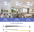 36 Inch Modern Ceiling Fans with Lights, Small Flush Mount Ceiling Fan with Light and Remote/APP Control, 5 Reversible 6 Speeds Curved Blades, 3 CCT Dimmable Lights for Bedroom, White