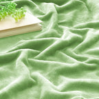 BEDELITE Fleece Blankets Queen Size Grass Green Throw Blankets for Bed, Luxury Plush Cozy Fuzzy Blanket 90x90 inches, Super Soft Warm Lightweight Throw Blanket All Seasons Suitable