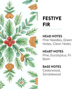 Festive Fir - Lampe Berger Fragrance Refill for Home Fragrance Oil Diffuser - 16.9 Fluid Ounces - 500 milliliters