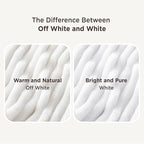 Bedsure GentleSoft Blankets Queen Size for Bed - Cozy Soft Sofa Couch Cover Blankets for Women, Cute Large Bedding Fleece Throws for Girls, Off White, 90x90 Inches