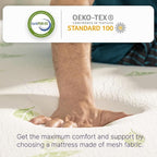 NapQueen Queen Size, 12 Inch Anula Green Tea Infused Memory Foam Mattress, Bed in a Box, CertiPUR-US Certified Mattress