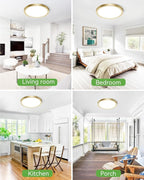 zemty 2Pack LED Ceiling Light Golden - 12In 28W Aureate Flush Mount Ceiling Light, 3 Color Temperature 3000K/4500K/6000K - 3200lm Gilded Round Flat Light Fixture for Kitchen Bathroom Shower
