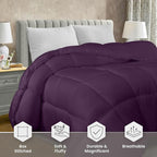 Utopia Bedding Comforter Duvet Insert, Quilted Comforter with Corner Tabs, Box Stitched Down Alternative Comforters Queen Size (Plum)