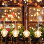 Christmas Bubble Lights - UL Listed 9 Traditional Clear Bulbs with Silver Glitter for Holiday Christmas Celebrations Lighting, Green Wire