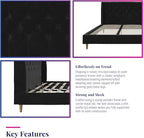 Novogratz The Her Majesty Upholstered Bed, King, Black Velvet