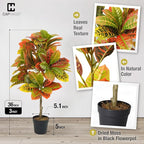 Fencer Wire 36 Inch Artificial Topiary Croton Tree, UV Resistant Artificial Outdoor Plants, Faux Bushes and Shrub, Fake Trees in Pot with Dried Moss, Artificial Plants for Front Porch, Indoor, Outdoor