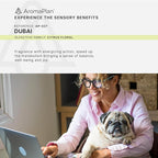 AromaPlan Hotel Scents Dubai 5 Fl Oz (148ml), Home Luxury Aroma & Hotel Fragrance Diffuser Oil- Hotel Diffuser Oil for Aromatherapy- USA Made, Bigger Bottle, Bolder Aroma & Longer Lasting